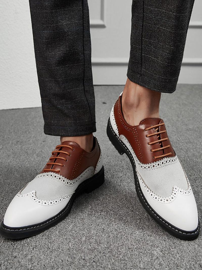 Heren Oxford Color Block-jurk Formele Schoenen Gelegenheden - Koffiebruin