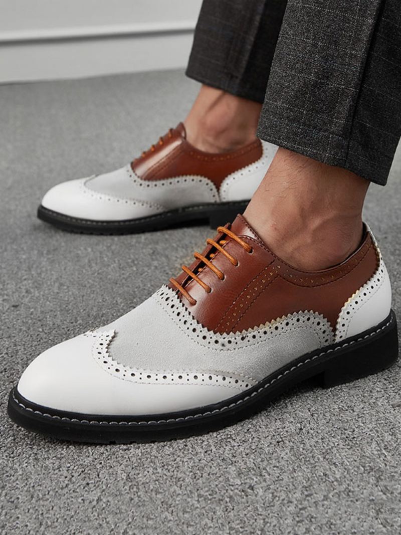 Heren Oxford Color Block-jurk Formele Schoenen Gelegenheden - Koffiebruin