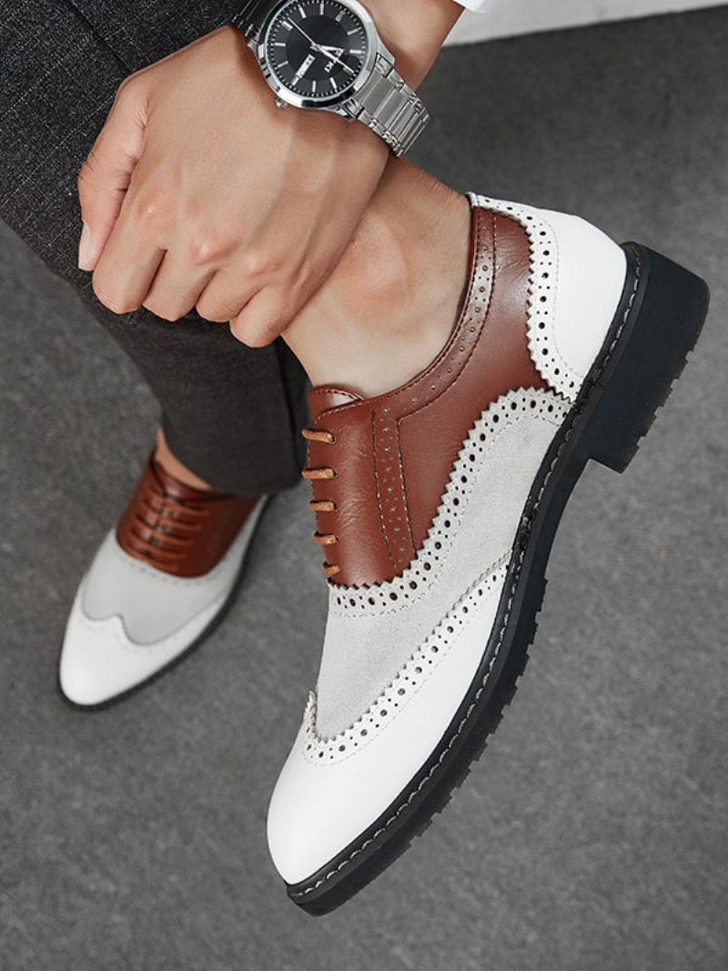 Heren Oxford Color Block-jurk Formele Schoenen Gelegenheden - Koffiebruin