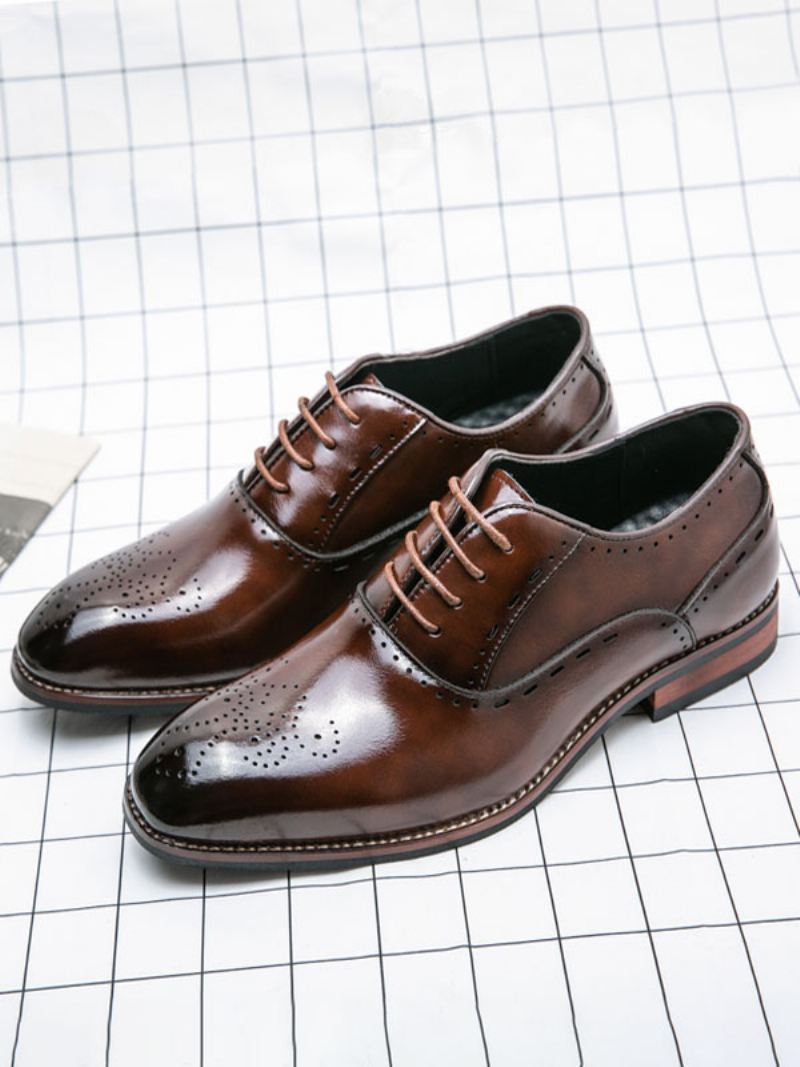 Herenschoenen Bruine Oxford-schoenen Met Ronde Neus Veters - Koffiebruin