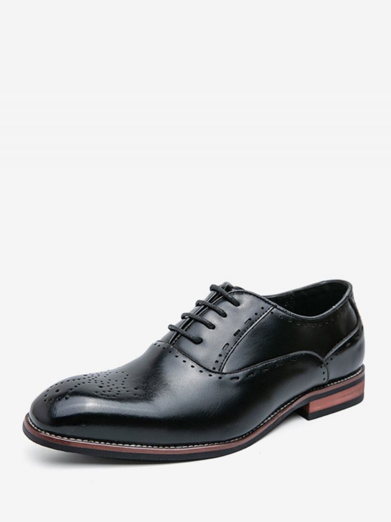 Herenschoenen Bruine Oxford-schoenen Met Ronde Neus Veters - Zwart