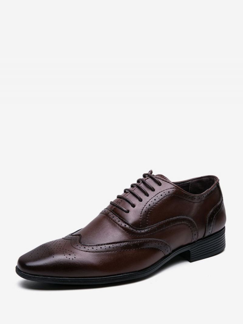 Herenschoenen Moderne Pu-leren Oxford-schoenen Met Puntige Neus Veters