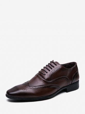 Herenschoenen Moderne Pu-leren Oxford-schoenen Met Puntige Neus Veters