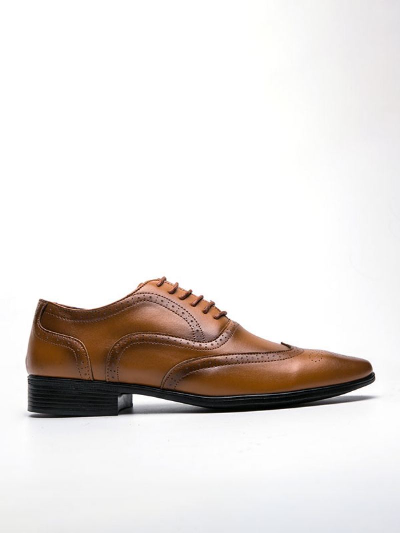 Herenschoenen Moderne Pu-leren Oxford-schoenen Met Puntige Neus Veters - Geel