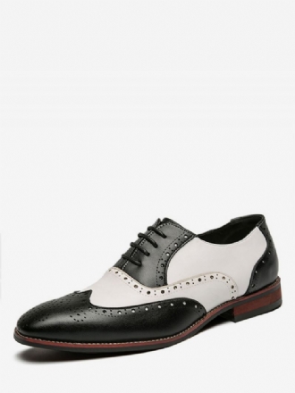 Oxfords Schoenen Heren Moderne Ronde Neusriem Verstelbare Pu Lederen Vleugeltips Brogues