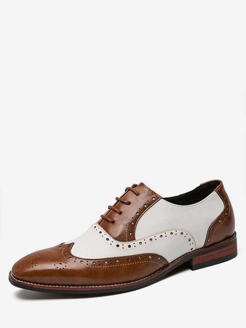 Oxfords Schoenen Heren Moderne Ronde Neusriem Verstelbare Pu Lederen Vleugeltips Brogues - Koffiebruin