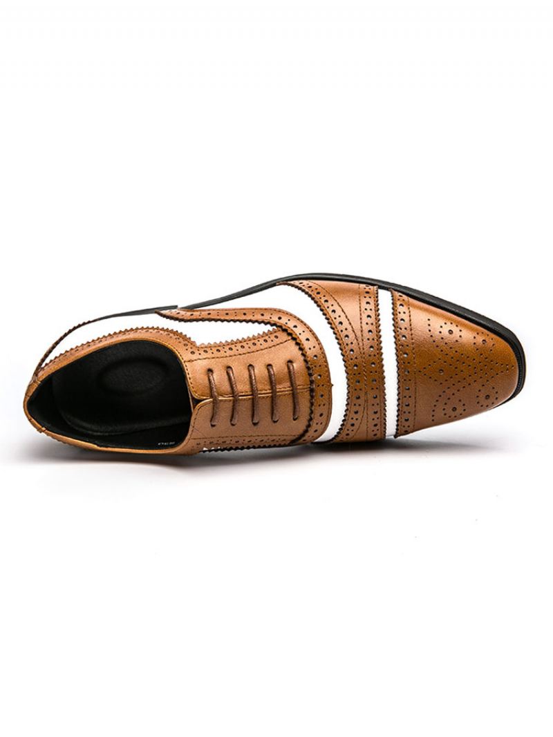 Tweekleurige Bruine Brogue Oxfords Trouwjurk-galaschoenen Heren - Koffiebruin