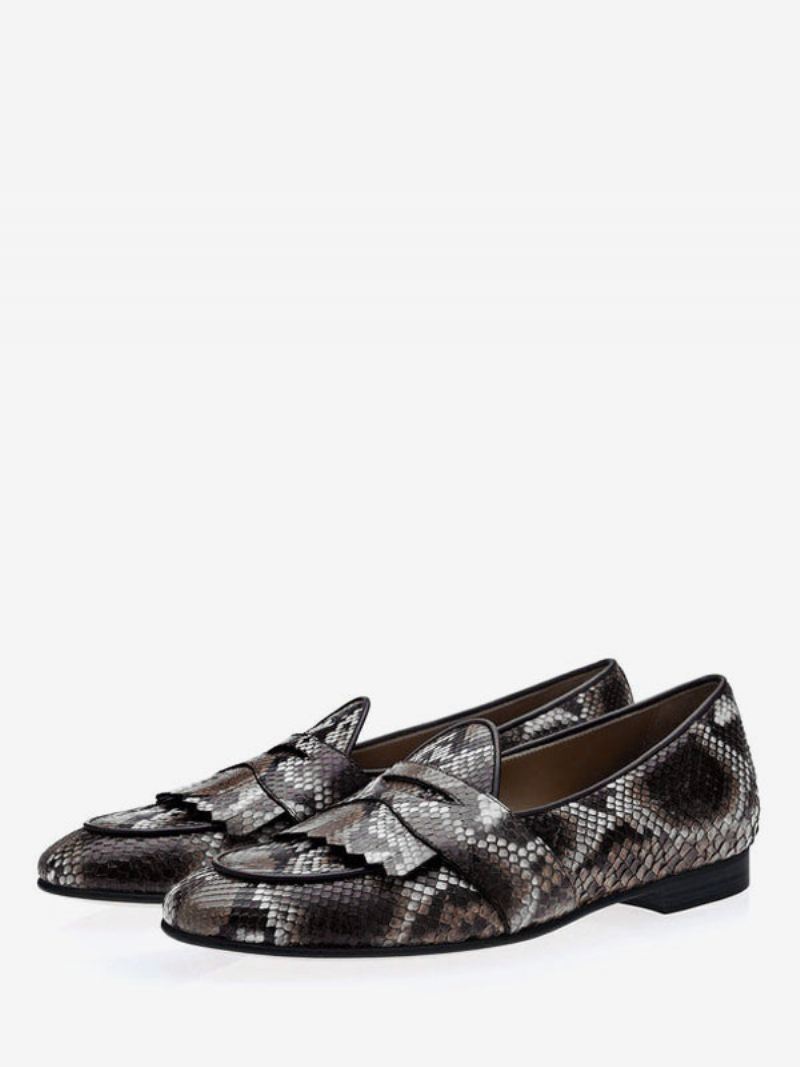 Penny Loafers Met Franjes Heren Trouwschoenen Een Feest - Python