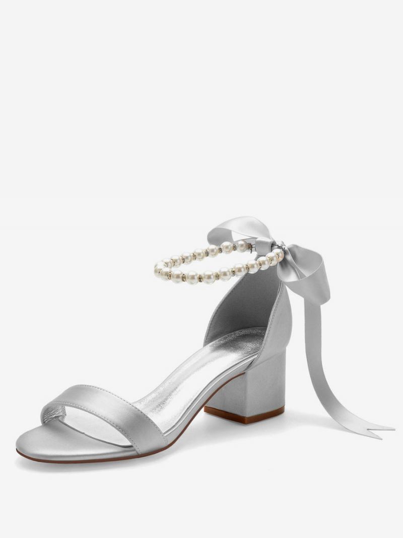 Damesschoenen Met Strikband Sandalen Enkelbandje Blokhak - Zilver