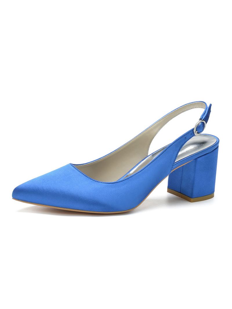 Slingback-pumps Met Blokhak Puntige Neus Dames - Blauw