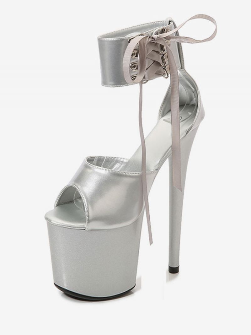 Dames Sexy Paaldansschoenen Hoge Hak Platform Veterschoenen Pleaser - Zilver