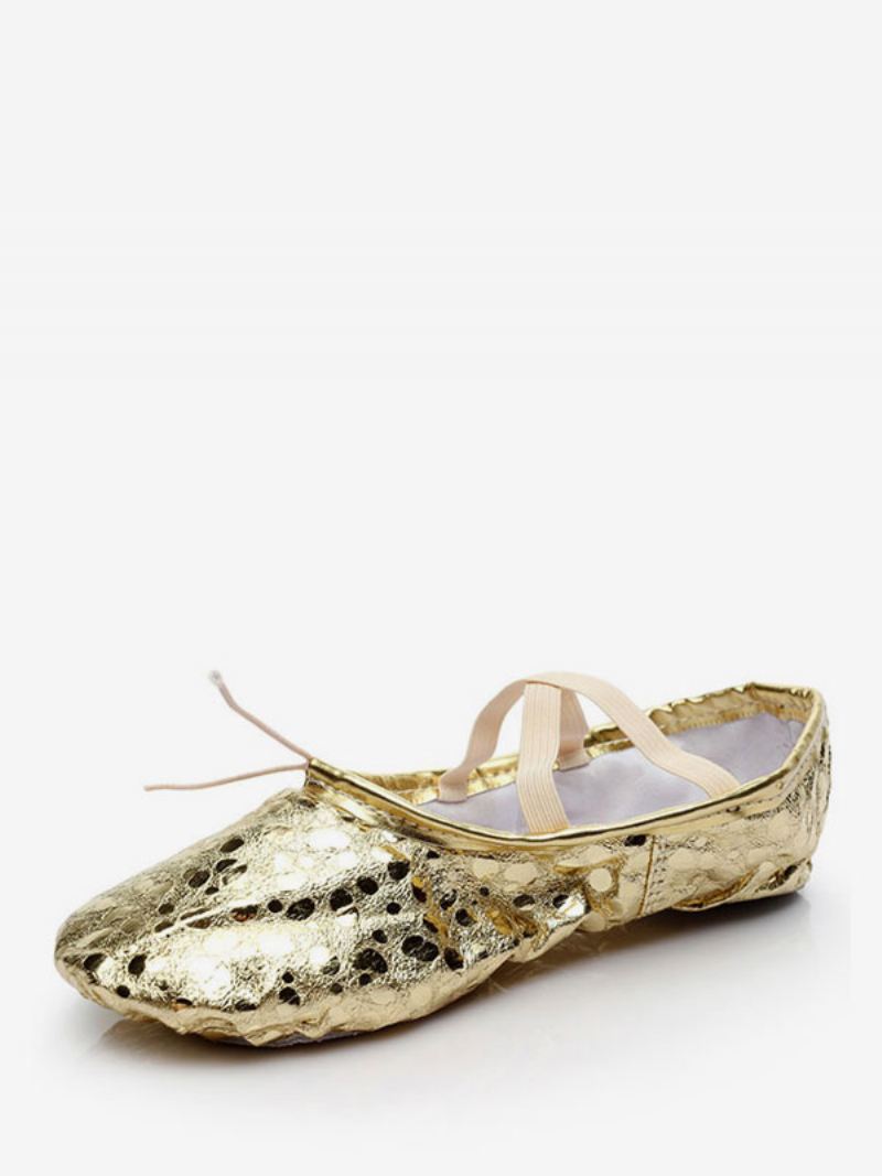 Gouden Balletschoenen Dames Ronde Neus Criss Cross Buikdansschoenen