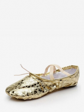 Gouden Balletschoenen Dames Ronde Neus Criss Cross Buikdansschoenen