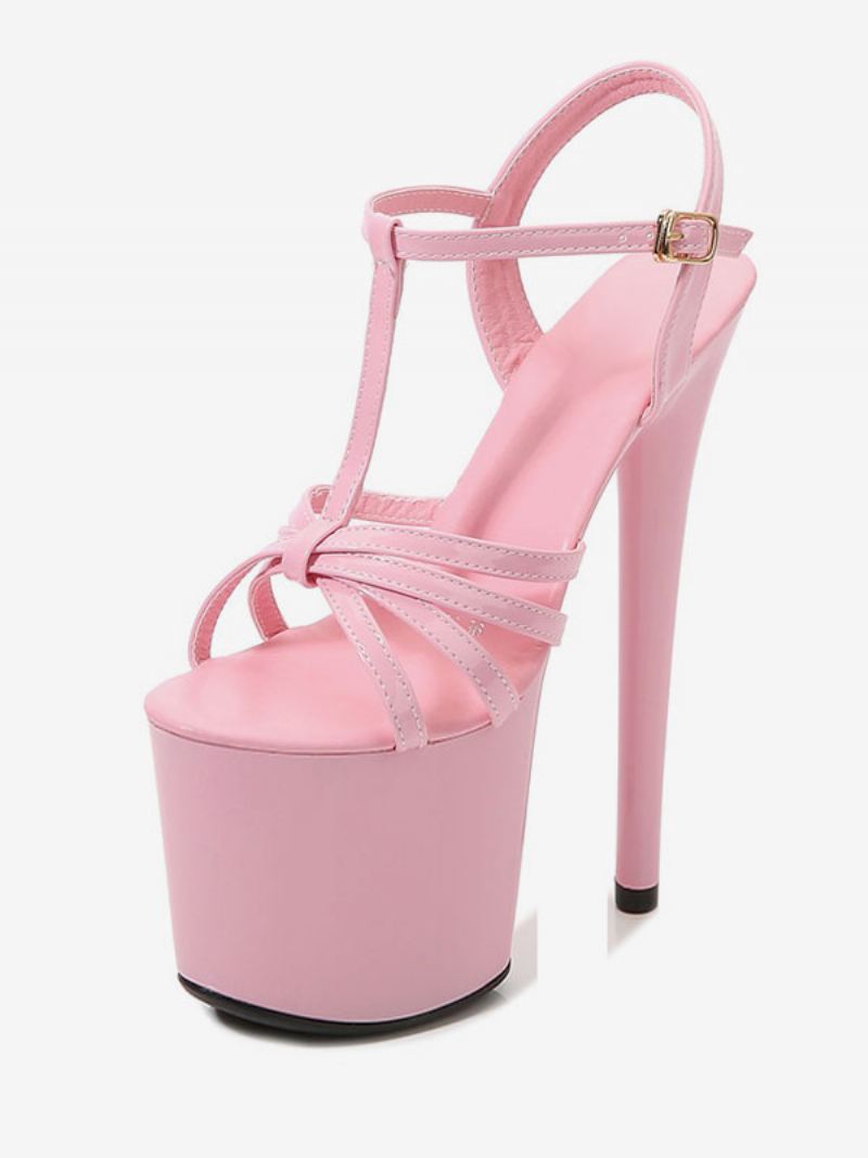 Hoge Hak Stripper Schoenen Dames Platform Naaldhak Paaldansschoenen - Roze