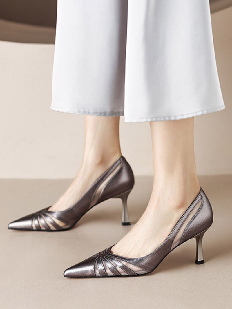 Dames Hakken Pumps Met Puntige Neus Kittenhak Kunstleer - Zilver