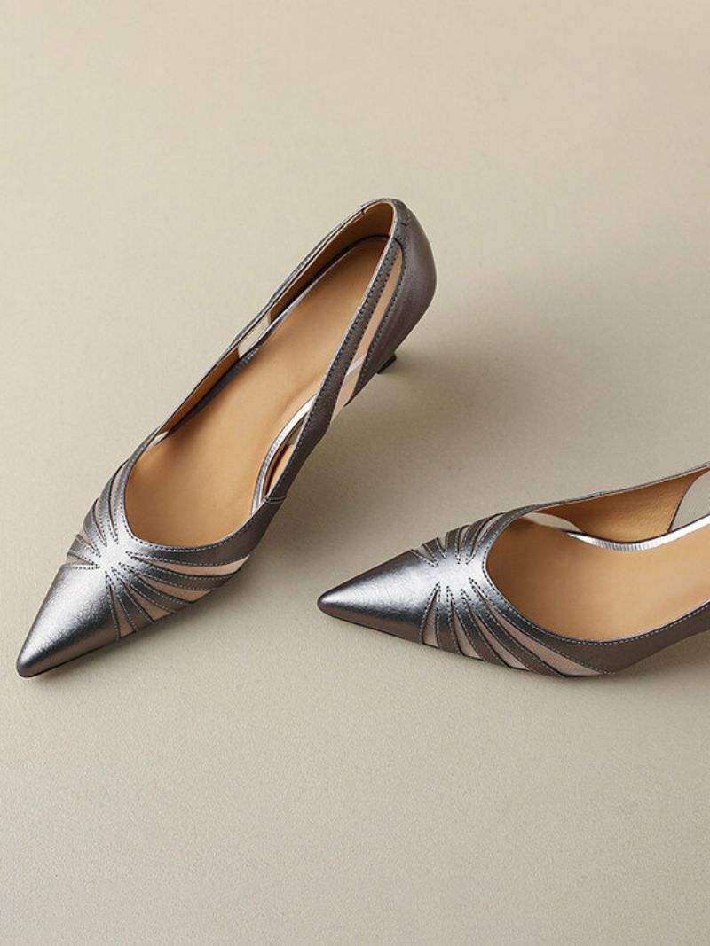 Dames Hakken Pumps Met Puntige Neus Kittenhak Kunstleer - Zilver